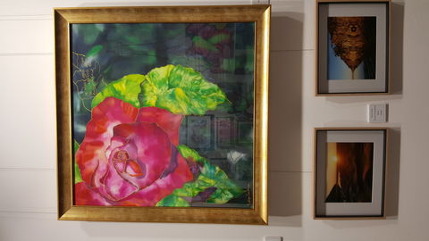 Macleay Valley Community Art Gallery - Goulburn Accommodation 0