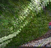 Morisset - Goulburn Accommodation