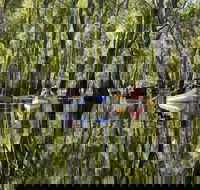 Murray River canoe trails - Goulburn Accommodation