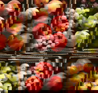 Severnlea - Goulburn Accommodation