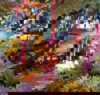 The Fernery at Diamond Waters - Goulburn Accommodation