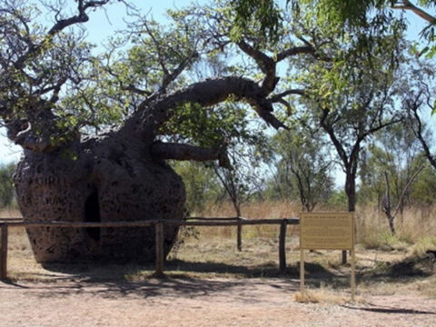 Time Walk, Windjana Gorge National Park - Goulburn Accommodation 2
