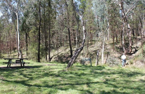 Wallaby Walking Track - Goulburn Accommodation 0