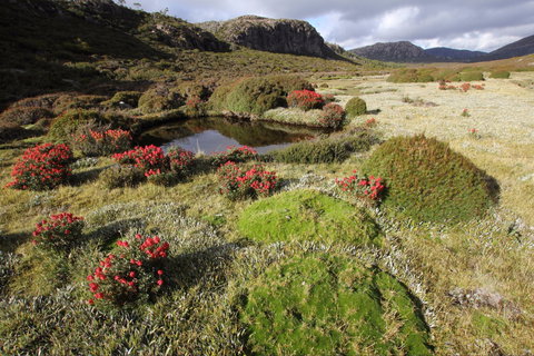 Walls Of Jerusalem National Park - Goulburn Accommodation 1