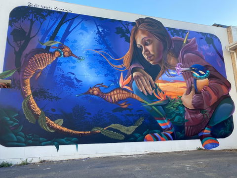 Walk The Walls Cronulla Street Art Trail - Goulburn Accommodation 0