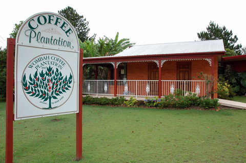 Wombah Coffee Plantation - Goulburn Accommodation 0
