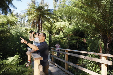 Yarra Ranges National Park - Goulburn Accommodation 1