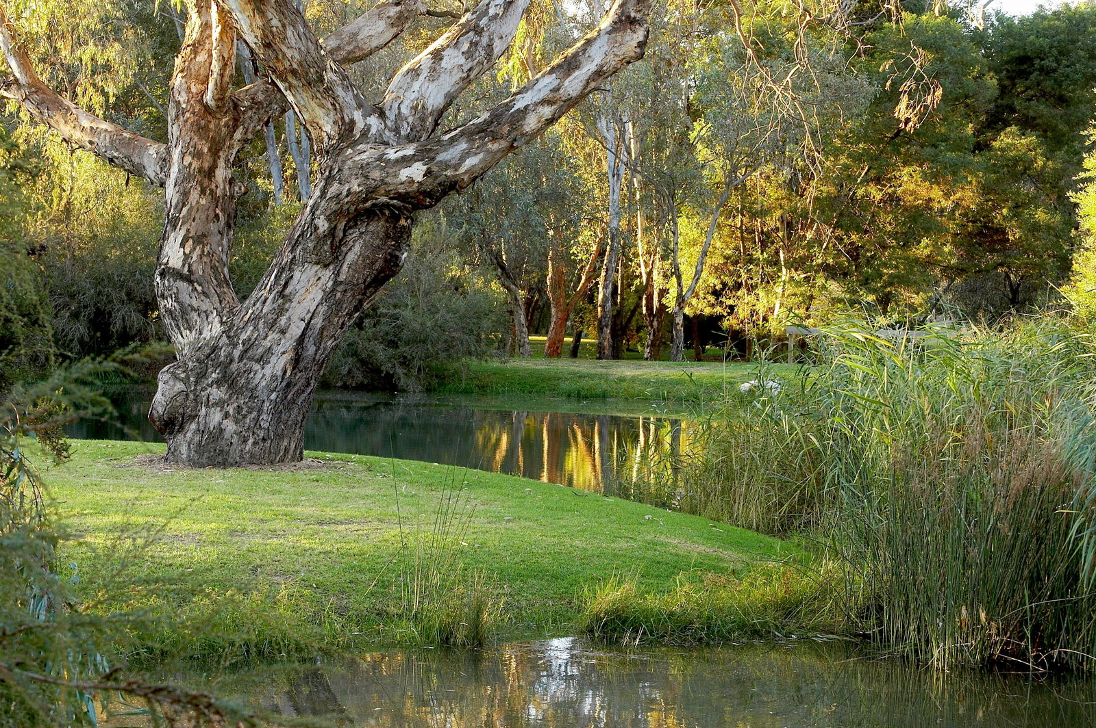 Gateway Island VIC Goulburn Accommodation