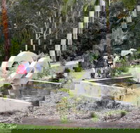 Maroochy Regional Bushland Botanic Garden - Goulburn Accommodation