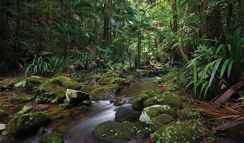 Protesters Falls Walking Track - Goulburn Accommodation 2