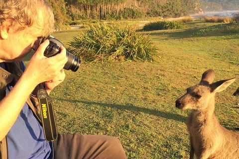 Highlights Of The Eurobodalla (half Day Private Tour) - Goulburn Accommodation 2