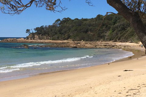 Highlights Of The Eurobodalla (half Day Private Tour) - Goulburn Accommodation 5