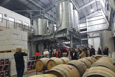 Hunter Valley Small Group Wine, Gin, Cheese & Chocolate Tour - Goulburn Accommodation 6