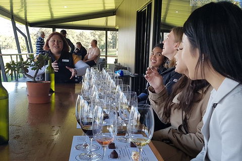 Hunter Valley Small Group Wine, Gin, Cheese & Chocolate Tour - Goulburn Accommodation 2
