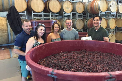 Hunter Valley Small Group Wine, Gin, Cheese & Chocolate Tour - Goulburn Accommodation 0