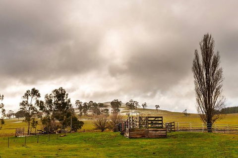 Paddock To Plate Farm Tour And Tasting - Goulburn Accommodation 0
