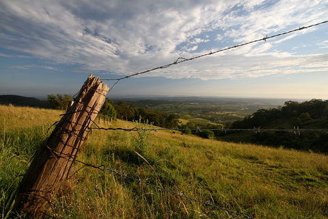 Private Full-Day Wine Tour In Hunter Valley - Goulburn Accommodation 3