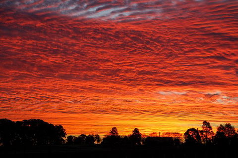 Private Full-Day Wine Tour In Hunter Valley - Goulburn Accommodation 0