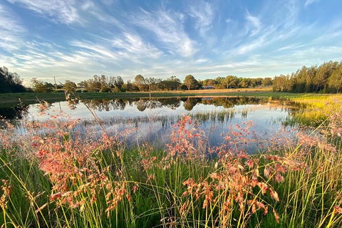 Private Full-Day Wine Tour In Hunter Valley - Goulburn Accommodation 5
