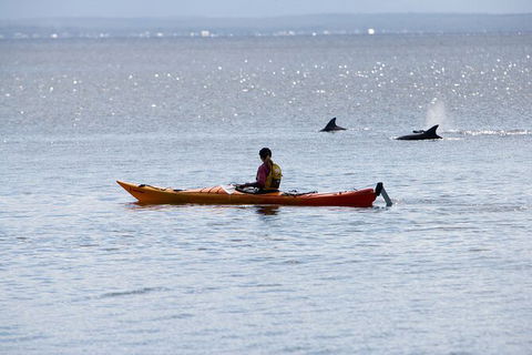 Half-Day Jervis Bay Sea Kayak Tour - Goulburn Accommodation 4