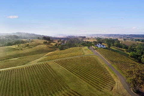 Audrey Wilkinson Vineyard: Fromage And Fortified Wine Experience - Goulburn Accommodation 1