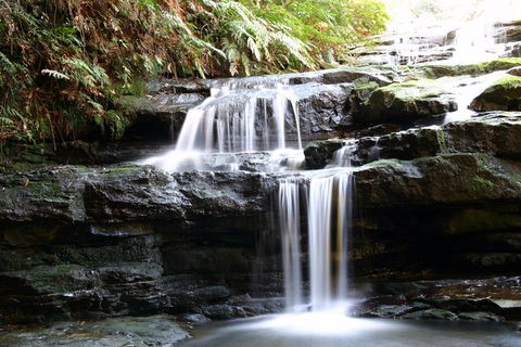 Private 10-hour Tour To Blue Mountains From Sydney - Hotel Pick Up & Drop Off - Goulburn Accommodation 6