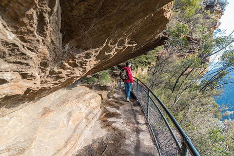 Blue Mountains Highlights & Wildlife Park - Goulburn Accommodation 0