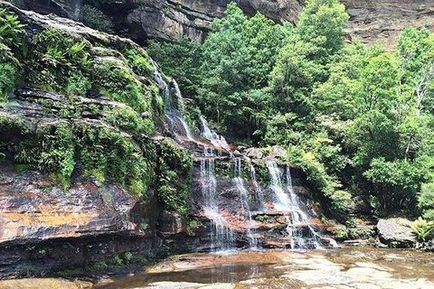 Blue Mountains Highlights & Wildlife Park - Goulburn Accommodation 8