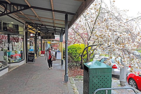Blue Mountains Highlights, Wildlife Park And Scenic World Full Day Private Tour - Goulburn Accommodation 2