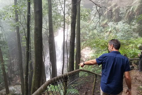 Blue Mountains Highlights, Wildlife Park And Scenic World Full Day Private Tour - Goulburn Accommodation 6
