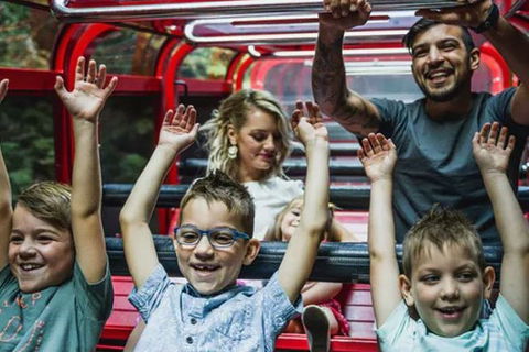 Blue Mountains Highlights, Wildlife Park And Scenic World Full Day Private Tour - Goulburn Accommodation 5