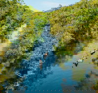 Cruise 'n' Canoe to Australia's Everglades - Goulburn Accommodation