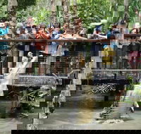 Hartley's Crocodile Adventure Half-Day Tour - Goulburn Accommodation