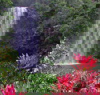 The Original Day Tour to Paronella Park Lake Barrine and Millaa Millaa Falls - Goulburn Accommodation