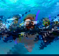 Great Barrier Reef Diving and Snorkeling Cruise from Cairns - Goulburn Accommodation