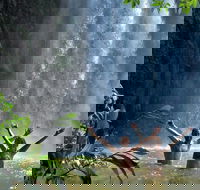 Atherton Tablelands Waterfalls Tour from Cairns - Goulburn Accommodation
