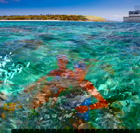 2-Day Green Island Cruise and Kuranda Day Trip - Goulburn Accommodation