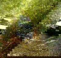 Barron Gorge and Kuranda National Park Half Day Rainforest and Waterfall 4WD Tour from Cairns - Goulburn Accommodation