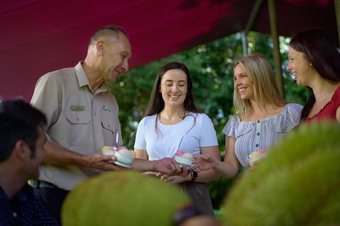 Daintree And Cape Tribulation Tour From Cairns - Goulburn Accommodation 1