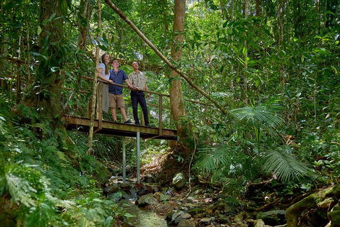 Daintree And Cape Tribulation Tour From Cairns - Goulburn Accommodation 3