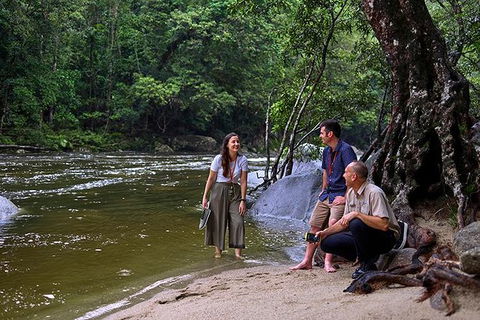 Daintree And Cape Tribulation Tour From Cairns - Goulburn Accommodation 2