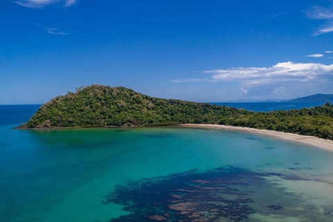 Daintree And Cape Tribulation Tour From Cairns - Goulburn Accommodation 7