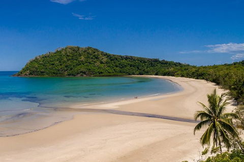 Daintree And Cape Tribulation Tour From Cairns - Goulburn Accommodation 8