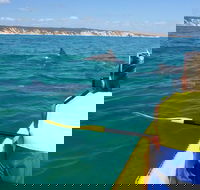 Kayak with Dolphins and 4WD Great Beach Drive Day Trip from Noosa - Goulburn Accommodation