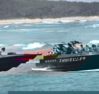 Noosa Thriller - 500hp Ocean Adventure Ride - Goulburn Accommodation