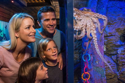 SEA LIFE Sunshine Coast Aquarium Entrance Ticket - Goulburn Accommodation 5