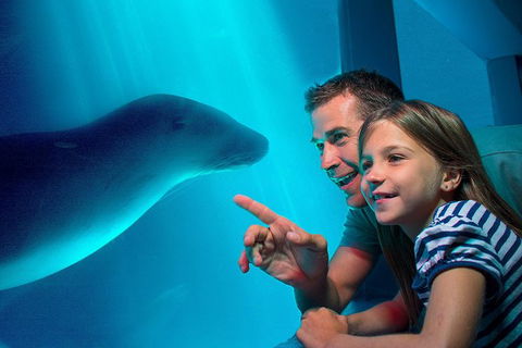 SEA LIFE Sunshine Coast Aquarium Entrance Ticket - Goulburn Accommodation 0
