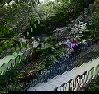 4-Day Cairns with Great Barrier Reef and Daintree Rainforest - Goulburn Accommodation