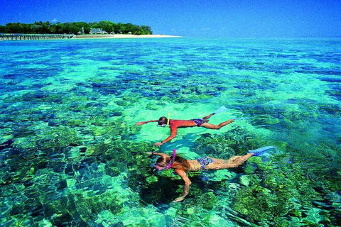 4-Day Cairns With Great Barrier Reef And Daintree Rainforest - Goulburn Accommodation 3