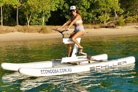 Self Guided Water Bike Tour Of The Noosa River - Goulburn Accommodation 1
